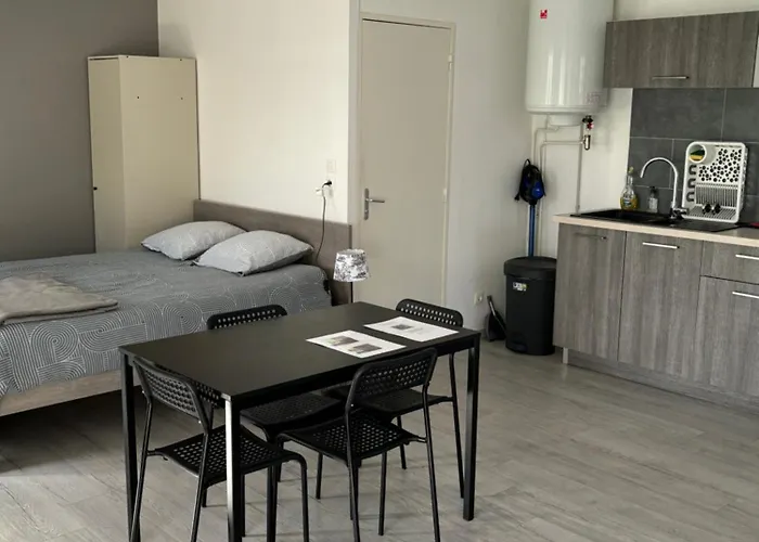 Pivoine Avec Terrasse A Proximite De Appartement Metz